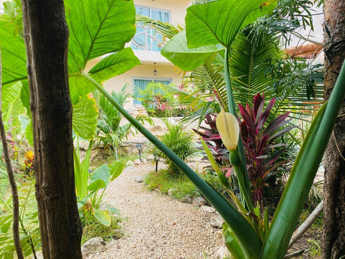 Jaakbal Tulum 아파트 외부 사진